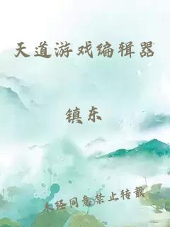 天道游戏编辑器